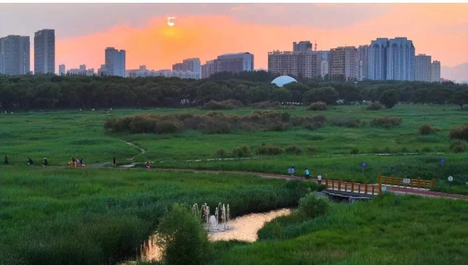 包头：一个老工业基地绿色转型“探路者”的新答卷2